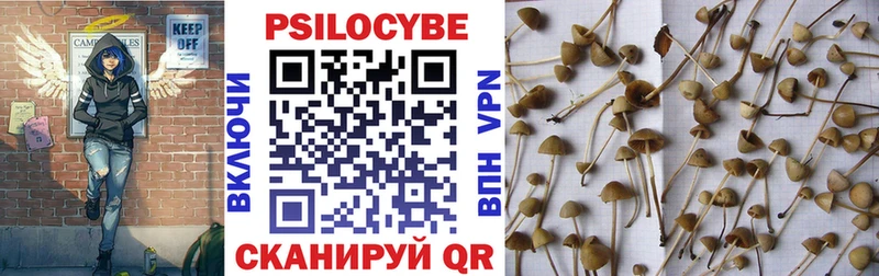 Псилоцибиновые грибы GOLDEN TEACHER  Черняховск 