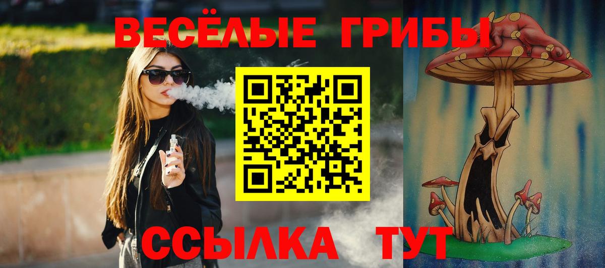 Черняховск  Галлюциногенные грибы Psilocybe  Вход с VPN 