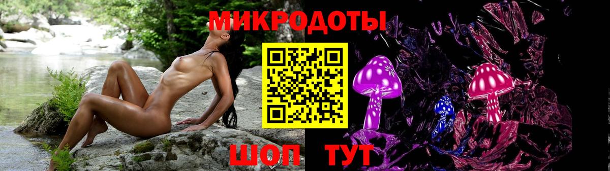 Псилоцибиновые грибы мицелий Черняховск